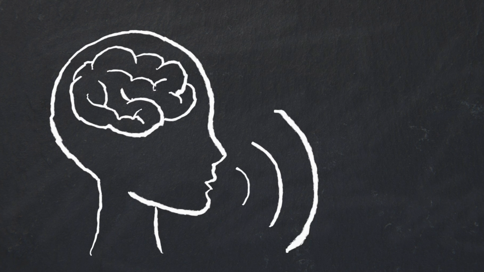 A x-ray side view of a person's head that shows their brain. The person is speaking, representing them sharing knowledge
